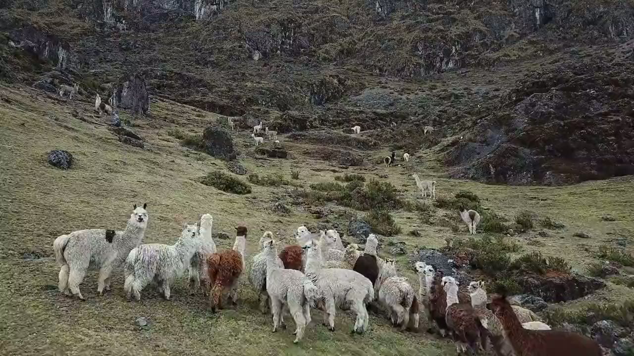 Peru