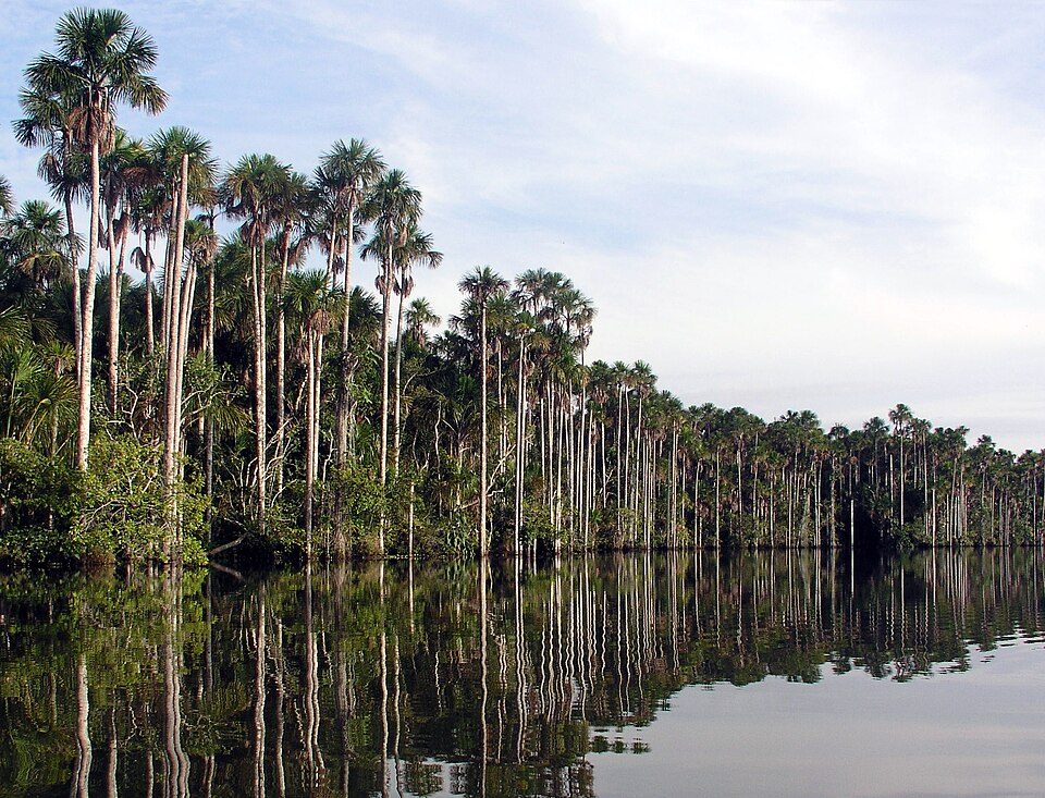 Puerto Maldonado