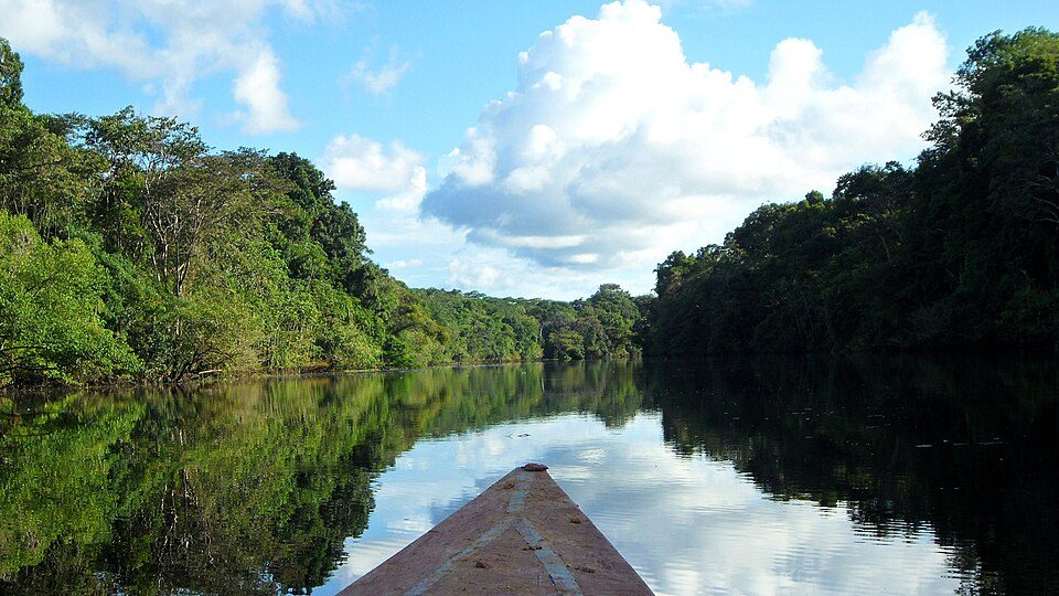 Pacaya Samiria with Local Naturalists