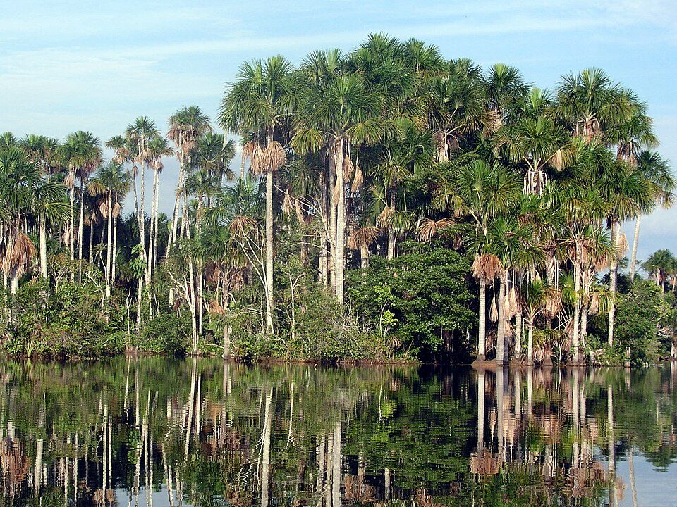 Lake Sandoval: Reading an Oxbow Ecosystem