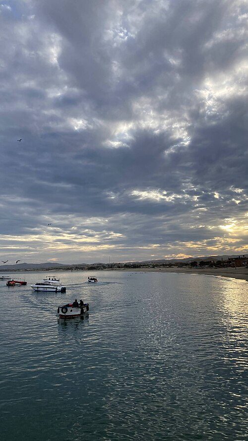 Los Órganos: Understanding the Living Coast