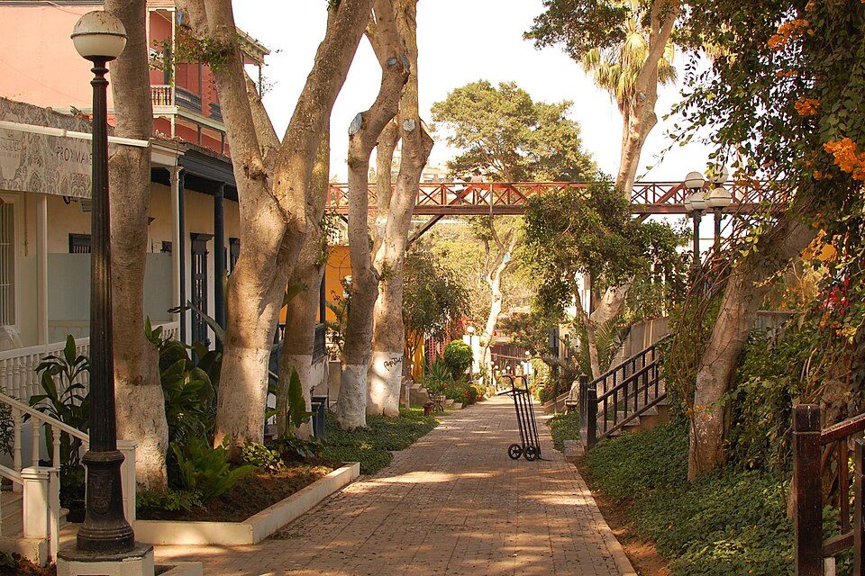 Barranco with Working Artists